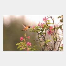 Hummingbird and Flowers Rectangle Stickers