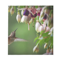 Hummingbird and Fushia Plant Note Pads