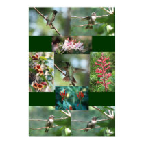 Hummingbird and his flowers posters