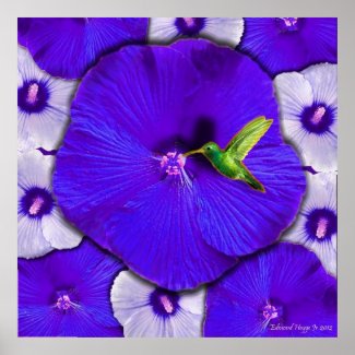 Hummingbird and Lavender Hibiscus Poster zazzle_print