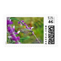 Hummingbird and Mexican Sage II Stamp
