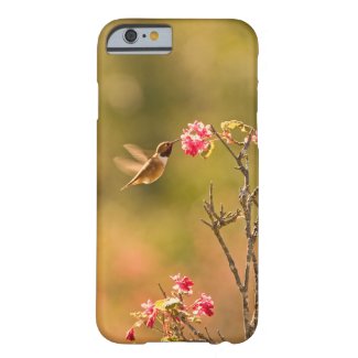 Hummingbird and Pink Flowers iPhone 6 Case