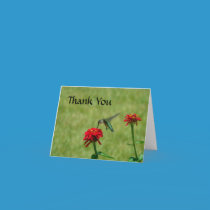 Hummingbird and Red Zinnias cards