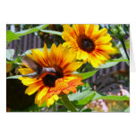 Hummingbird and Sunflowers Greeting Card