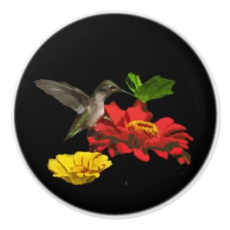 Hummingbird and Zinnia Flowers Ceramic Knob