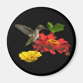 Hummingbird and Zinnias