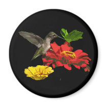 Hummingbird and Zinnias Refrigerator Magnet