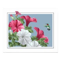 Hummingbird Art posters