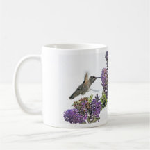Hummingbird at buddleia flower coffee mug