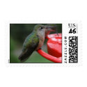 Hummingbird at rest postage by DarkOmegaWave Hummingbird at rest postage
