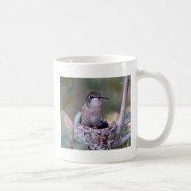 Hummingbird Babies 2 Mugs