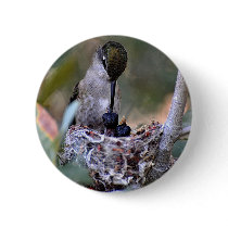 Hummingbird Babies Pinback Button