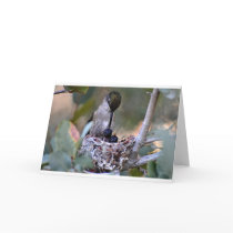 Hummingbird Babies Greeting Card