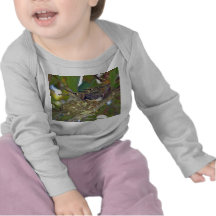 Hummingbird babies in nest - Shirt
