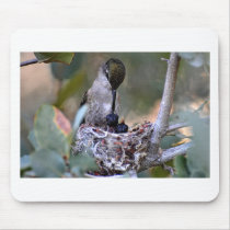 Hummingbird Babies Mouse Pads