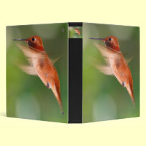 hummingbird binders