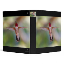 hummingbird 3 ring binder