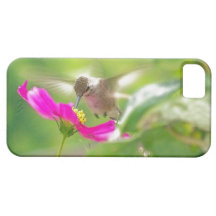 Hummingbird Bird iPhone 5 Case