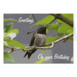 Hummingbird Birthday Greetings Card