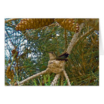 Hummingbird blank card by Rebecca_Reeder Hummingbird blank card