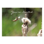 Hummingbird Building a Nest Custom Invitations