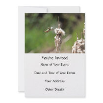 Hummingbird Building a Nest Personalized Invites