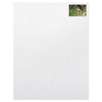 Hummingbird Building a Nest Personalized Letterhead