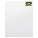 Hummingbird Building a Nest Personalized Letterhead
