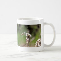 Hummingbird Building a Nest Mugs