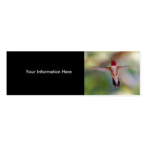 hummingbird business cards by WorldDesign hummingbird business cards