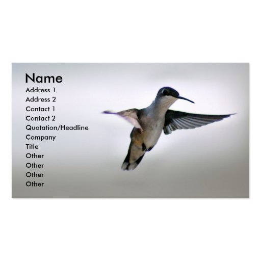 Hummingbird Business Card (front side)