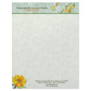 Hummingbird Business Letterhead letterhead