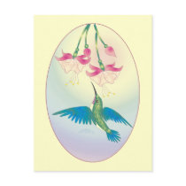 HUMMINGBIRD by SHARON SHARPE postcards