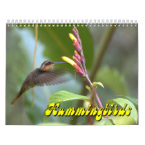 Hummingbird Calendar