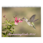 Hummingbird Calendar 2011