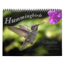 Hummingbird Calendar - click edit link for 2012