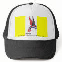 Hummingbird Cap, (C) By Sterling Tallio. Va... hats