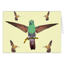 Hummingbird Card