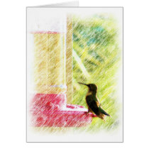 Hummingbird cards