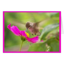 Hummingbird Card