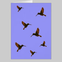 Hummingbird Card cards