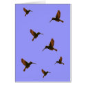 Hummingbird Card by sruhs Hummingbird Card