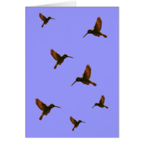 Hummingbird Card by sruhs Hummingbird Card