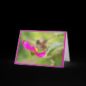 Hummingbird Card