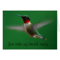 Hummingbird Card cards