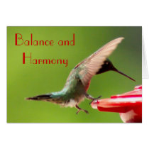 Hummingbird Card cards