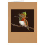 hummingbird card, (Rufous)