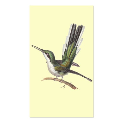 Hummingbird Cards, Garden Designer, Gift Shop, etc Business Card (back side)