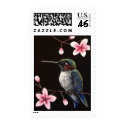 Hummingbird & Cherry Blossoms postage by gabycat Hummingbird & Cherry Blossoms postage