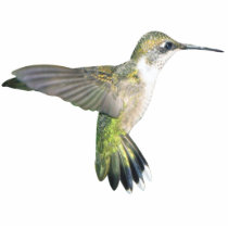 Hummingbird Chirstmas Ornament photo sculptures by DaniellesGarden Hummingbird Chirstmas Ornament photo sculptures